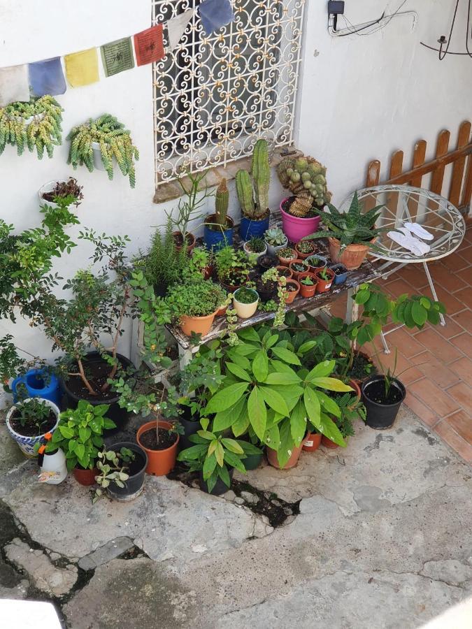 Casa Vera Vejer de la Frontera Exteriör bild